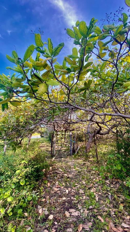 Villa Morada Venturi Atins Esterno foto
