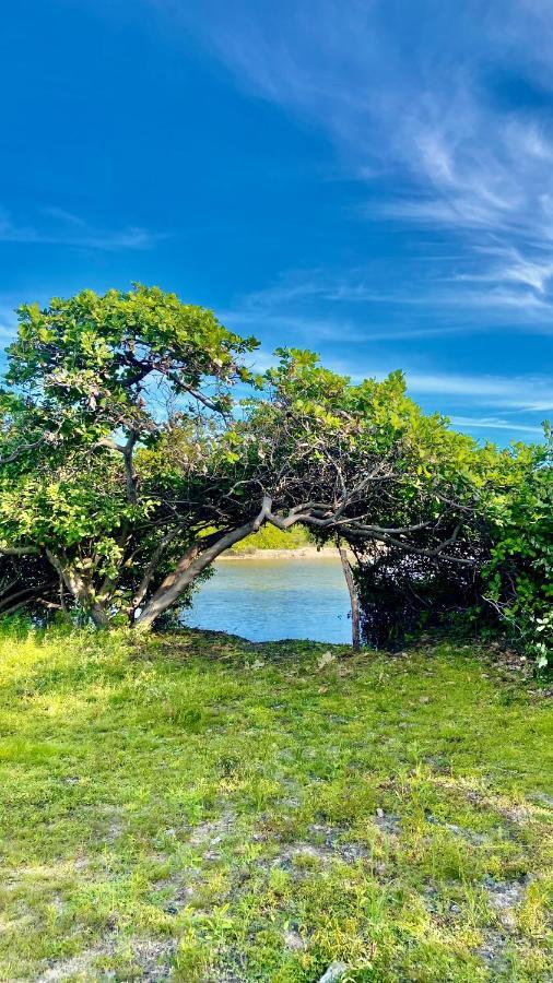 Villa Morada Venturi Atins Esterno foto